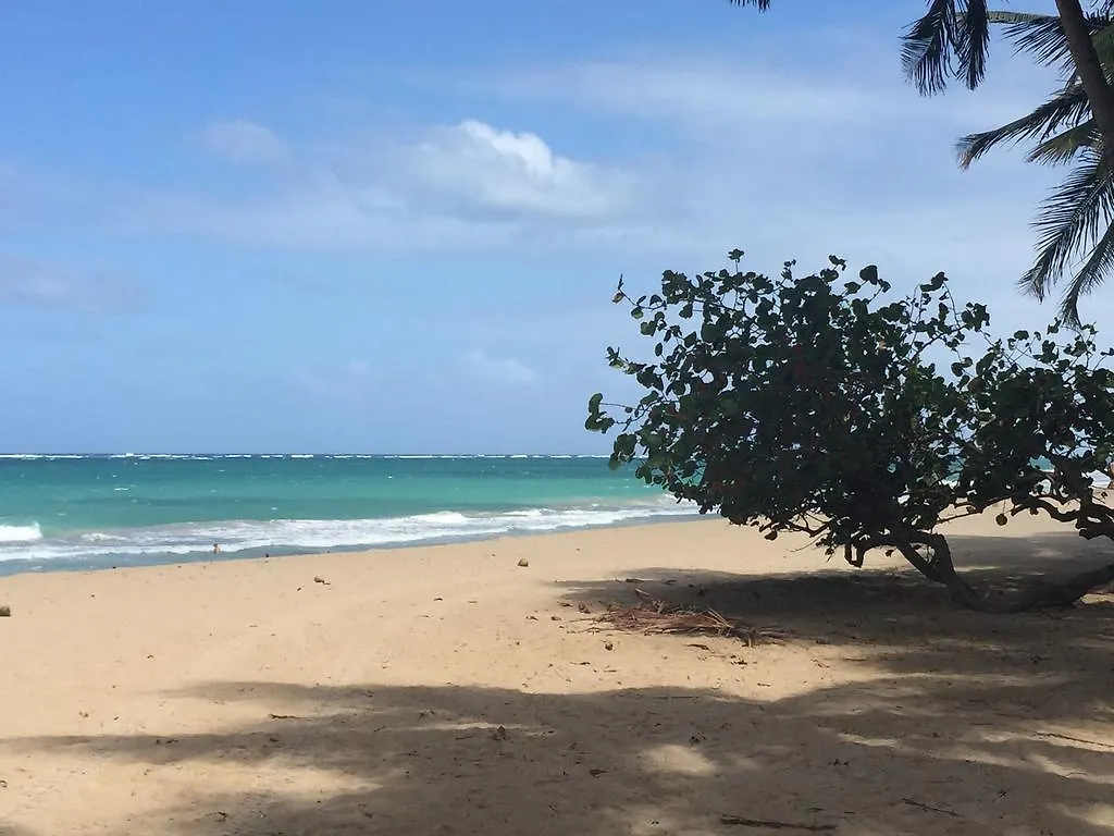 Kingsville Condado Studio Apartment サンジョアン